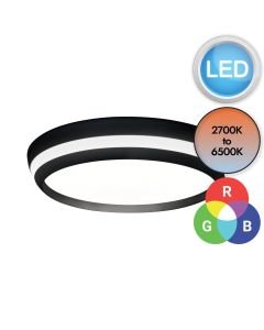 Lutec Connect - Cepa - 8402901012 - LED Black Opal Flush Ceiling Light
