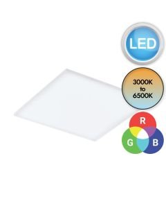 Eglo Lighting - Trupiana - 900569 - LED White Flush Ceiling Light