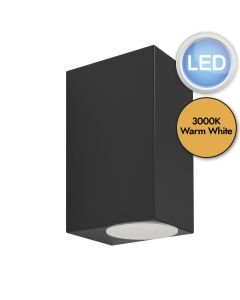 Eglo Lighting - Jabaga - 900276 - LED Black Clear 2 Light IP44 Outdoor Wall Washer Light