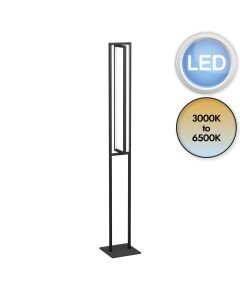 Eglo Lighting - Siberia - 900469 - LED Black White Floor Lamp