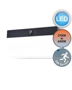 Lutec Connect - Fran - 6941502330 - LED Black Clear IP44 Solar Outdoor Sensor Wall Light