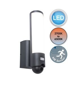 Lutec Connect - Elara - 5267106118 - LED Dark Grey Opal IP44 Outdoor Sensor and Video Wall Light