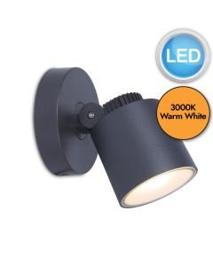 Lutec - Explorer - 6609202118 - LED Dark Grey Clear IP54 Outdoor Wall Spotlight