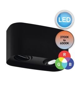Eglo Lighting - Caminales-Z - 99674 - LED Black 2 Light Flush Ceiling Light