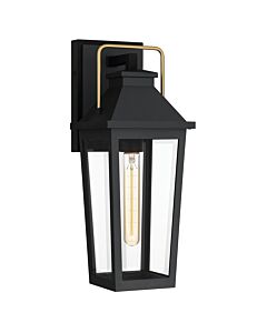 Quoizel Lighting - Buckley - QZ-BUCKLEY-M-MBK - Black Brass Clear Glass IP44 Outdoor Wall Light