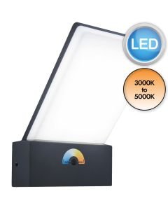 Lutec - Pano - 5289001118 - LED Dark Grey Opal IP54 Outdoor Wall Light
