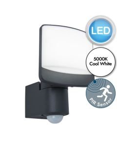 Lutec - Sunshine - 7625701345 - LED Black Opal IP44 Outdoor Sensor Floodlight