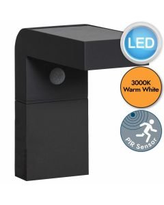 Eglo Lighting - Baracconi - 900245 - LED Black Clear 18 Light IP44 Solar Outdoor Sensor Wall Light