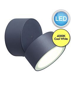 Lutec - Trumpet - 5626001118 - LED Dark Grey Clear Glass IP54 Outdoor Wall Spotlight