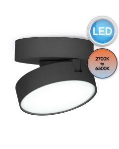 Lutec Connect - Stanos - 8600501012 - LED Black Opal Ceiling Spotlight