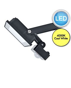 Lutec - Halo - 7801706012 - Black Clear Glass IP44 Outdoor Sensor Floodlight