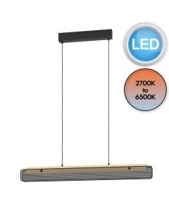 Eglo Lighting - Kokomo-Z - 900702 - LED Black Wood White Bar Ceiling Pendant Light