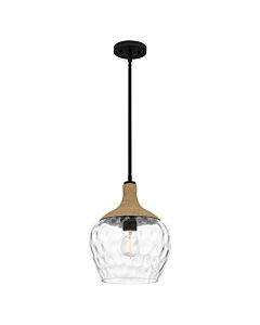 Quoizel Lighting - Royer - QZ-ROYER-1P-MBK - Black Rope Clear Glass Ceiling Pendant Light