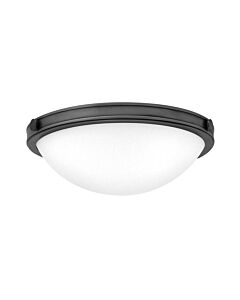 Hinkley Lighting - Collier - HK-COLLIER-F-S-BX - Black Frosted Glass 2 Light Flush Ceiling Light