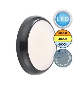 Saxby Lighting - Hero - 95551 & 95541 - LED Anthracite Opal IP65 Microwave Plain Bezel Outdoor Sensor Bulkhead Light