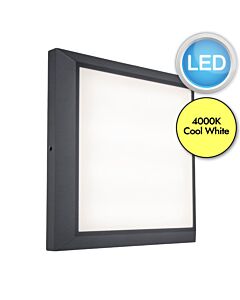 Lutec - Helena - 5102101118 - LED Dark Grey Opal IP54 Outdoor Recessed Marker Light