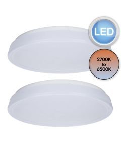 Set of 2 Virtuo - LED White Opal Flush Ceiling Lights