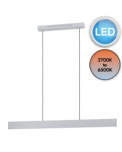 Eglo Lighting - Andreas-Z - 900879 - LED Grey White 2 Light Bar Ceiling Pendant Light