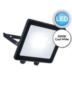 Lutec - Tec30 - 7800905012 - LED Black Clear Glass IP65 Outdoor Floodlight