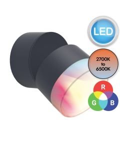 Lutec Connect - Dropsi - 5010901118 - LED Dark Grey Opal IP44 Outdoor Wall Spotlight