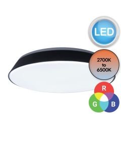 Lutec Connect - Panter - 8403001012 - LED Dark Grey Opal Flush Ceiling Light