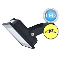 Lutec - Halo - 7801703012 - Black Clear Glass IP65 Outdoor Floodlight