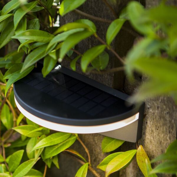 Lutec - Vyzor - 6915701335 - LED Dark Grey Frosted Glass IP44 Solar Outdoor Wall Washer Light