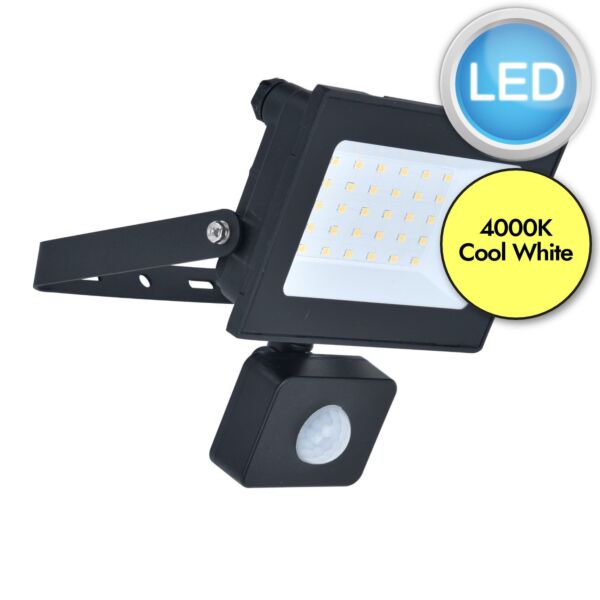 Lutec - Halo - 7801705012 - Black Clear Glass IP44 Outdoor Sensor Floodlight