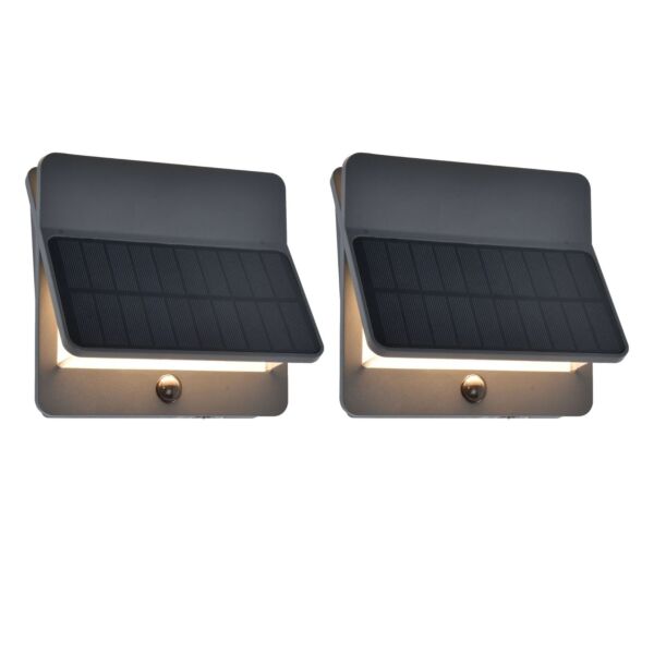 Set of 2 Aleta - LED Dark Grey Clear 2 Light IP54 Solar Outdoor Wall Washer Lights