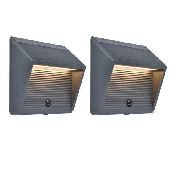 Set of 2 Linko - LED Dark Grey Clear IP44 Outdoor Wall Washer Lights
