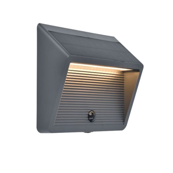 Lutec - Linko - 6912301335 - LED Dark Grey Clear IP44 Outdoor Wall Washer Light
