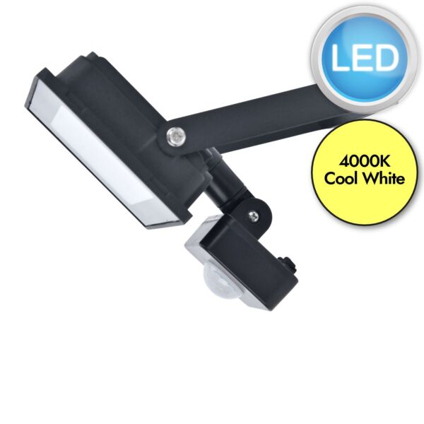Lutec - Halo - 7801706012 - Black Clear Glass IP44 Outdoor Sensor Floodlight