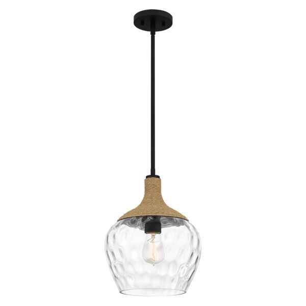 Quoizel Lighting - Royer - QZ-ROYER-1P-MBK - Black Rope Clear Glass Ceiling Pendant Light