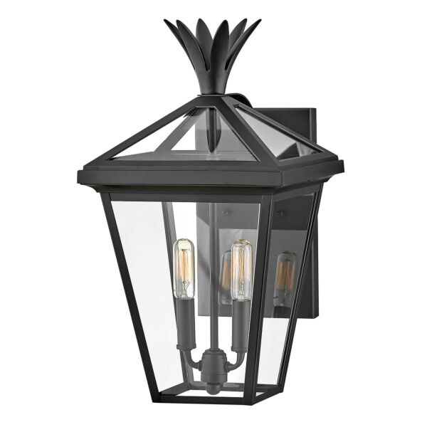 Hinkley Lighting - Palma - HK-PALMA-M-BK - Black Clear Glass 2 Light IP44 Outdoor Wall Light