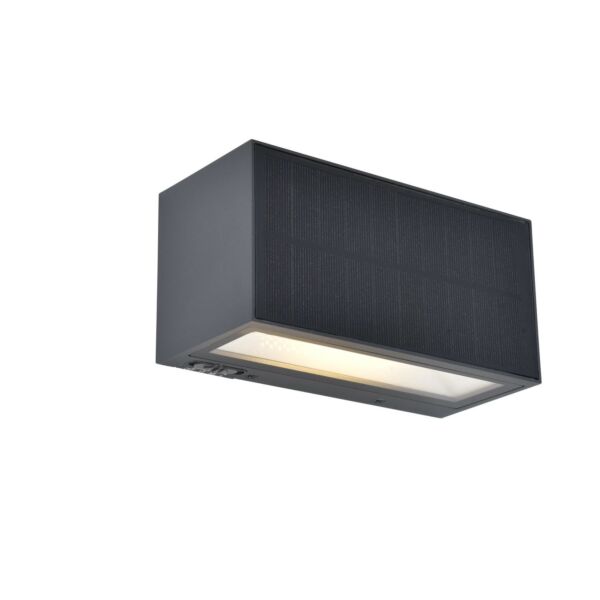 Lutec - Inka - 6989101118 - LED Dark Grey Clear Glass IP44 Outdoor Wall Washer Light